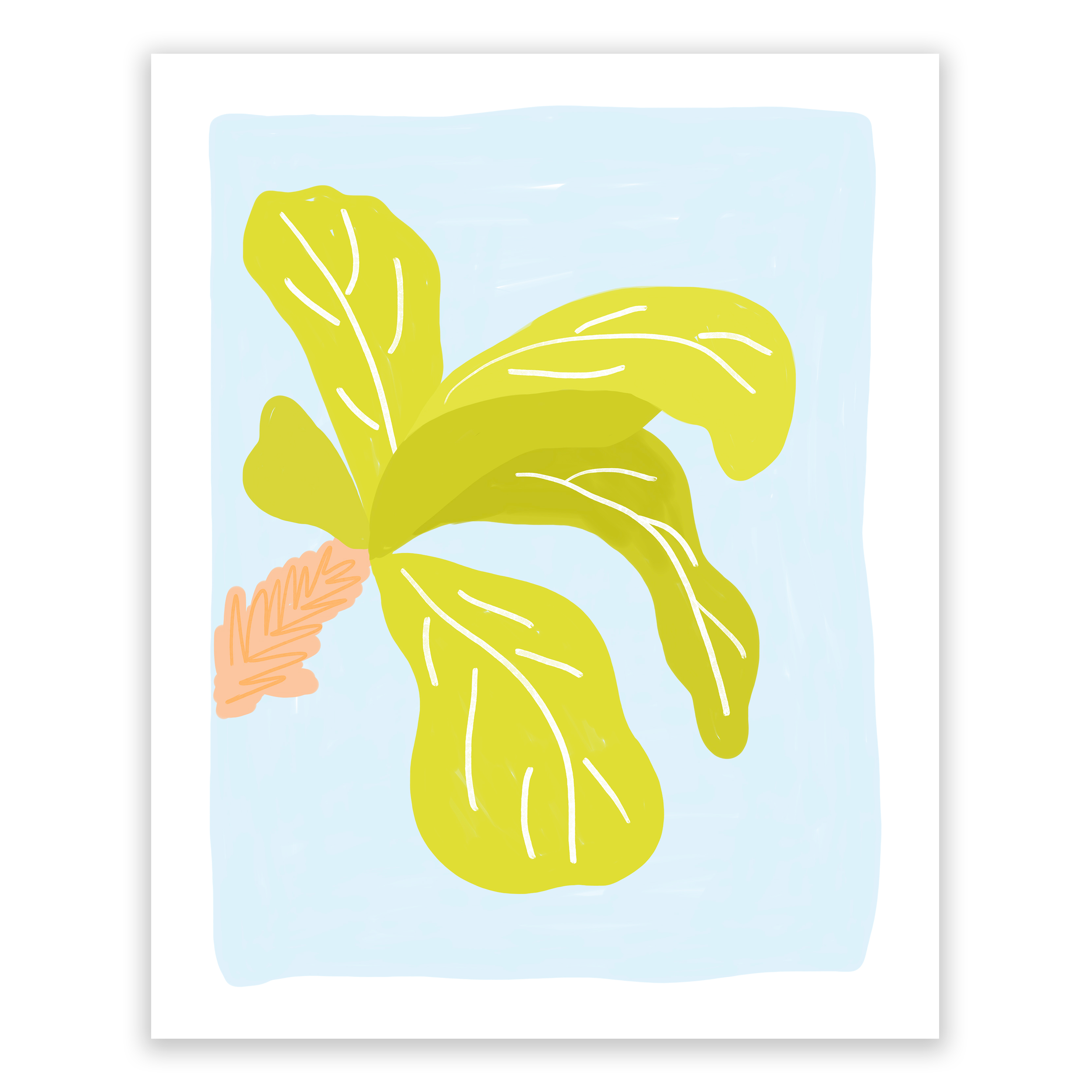 fiddle leaf fig art Fiddle Leaf Fig Art Print