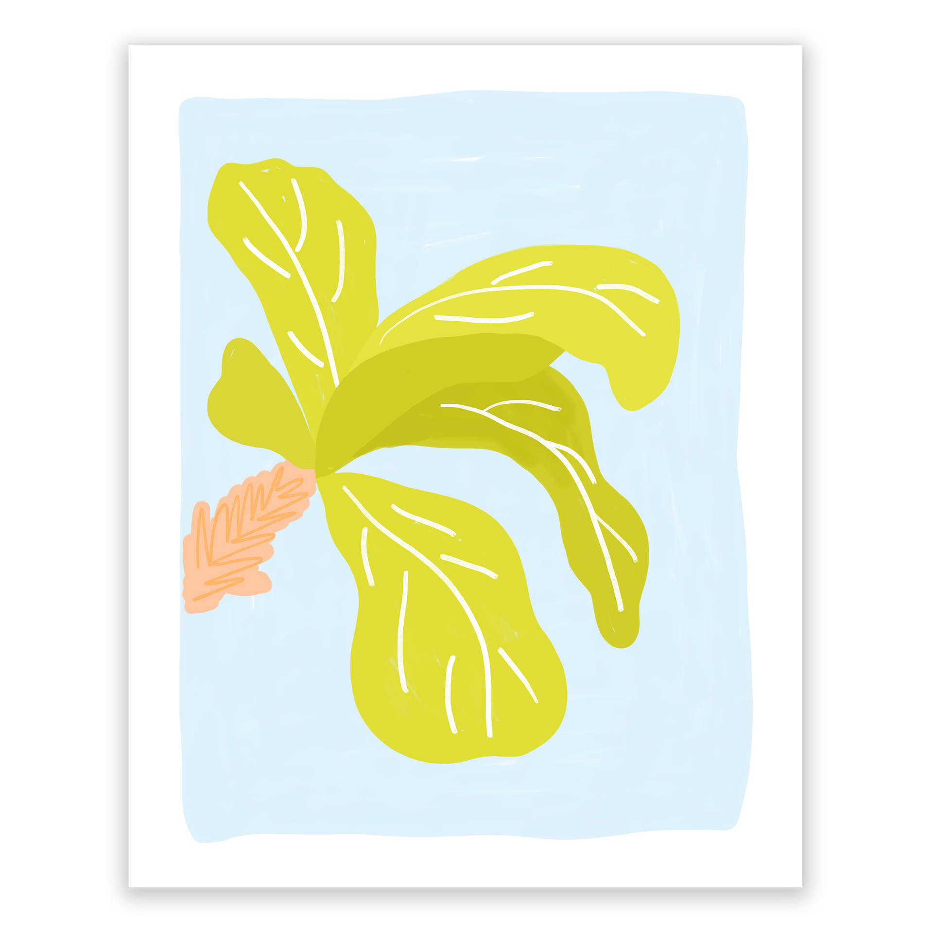 Fiddle Leaf Fig Art Print