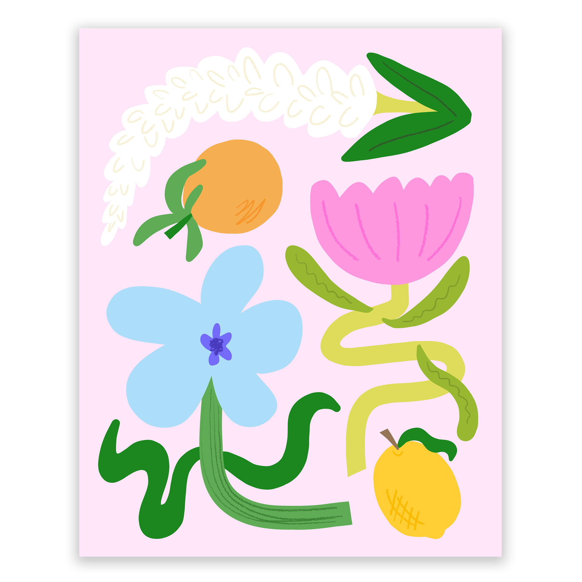 Flowers and Fruit 001 Art Print