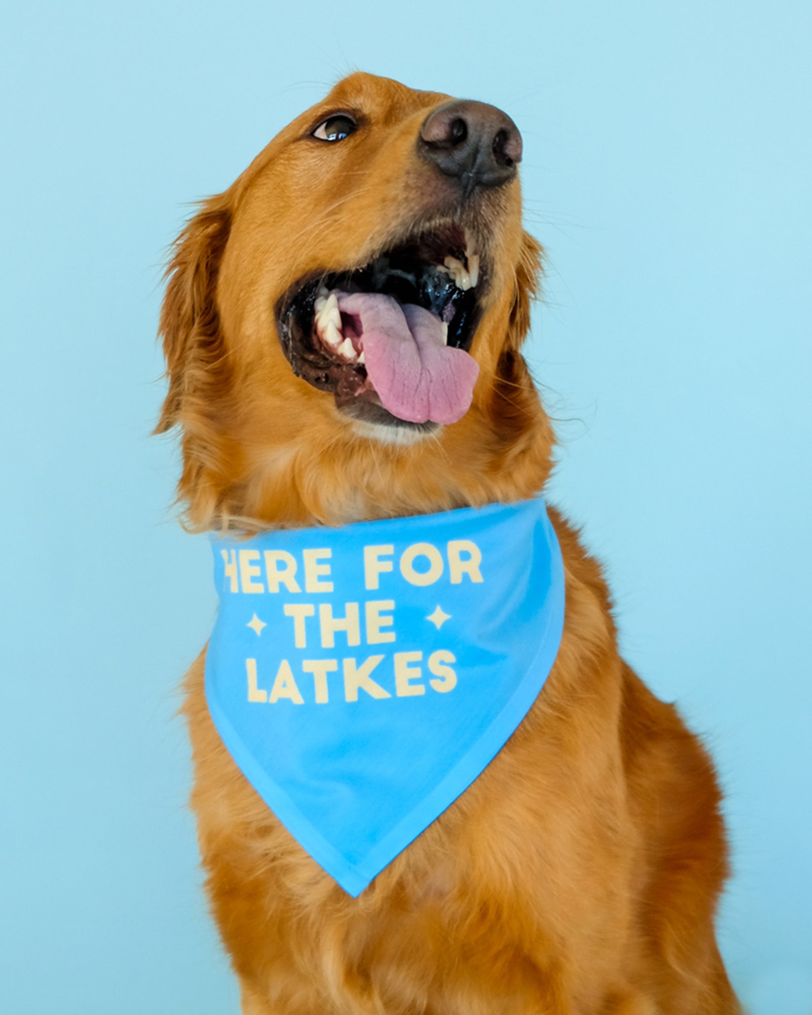 Here for the Latkes Dog Bandana